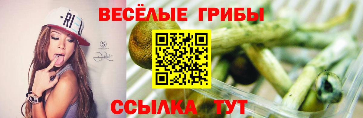 Псилоцибиновые грибы мухоморы  купить наркоту  Кириши  Вход с VPN  Псилоцибиновые грибы Magic Shrooms 